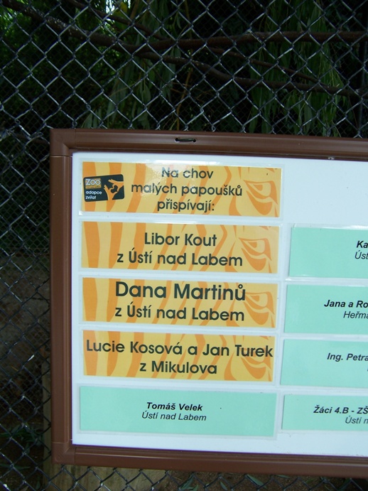 Ptáčci