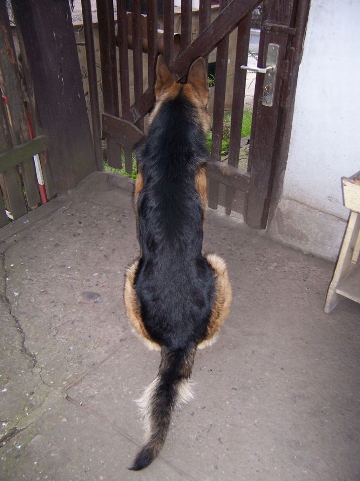 Hlídač 2