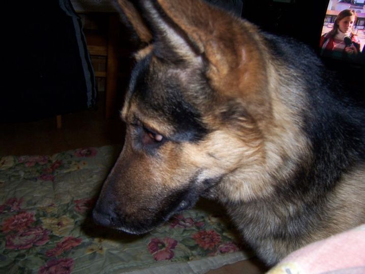 31.12.2006 žebrající 